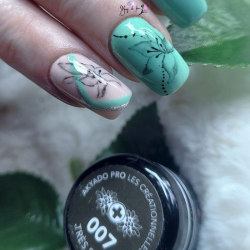 Gel 007 NOIR Très sage 5g Akyado (sans résidu)