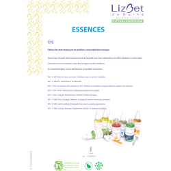 Essence Naturelle Eucalyptus 16ml Lizbet