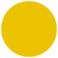 09.843 LizyLaq Color 14ml