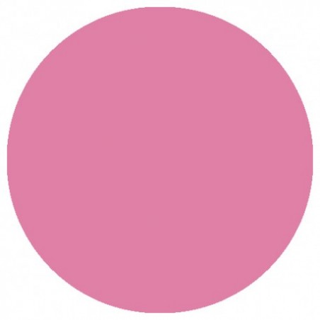 VSP 09.859 LizyLaq Color 14ml Lizbet