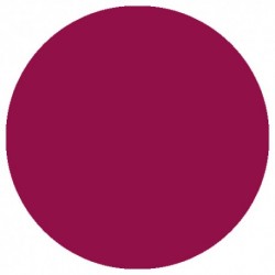 09.861 LizyLaq Color 6ml