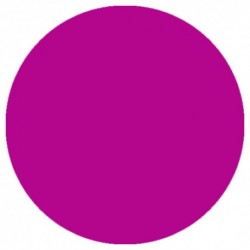 09.879 LizyLaq Color 6ml